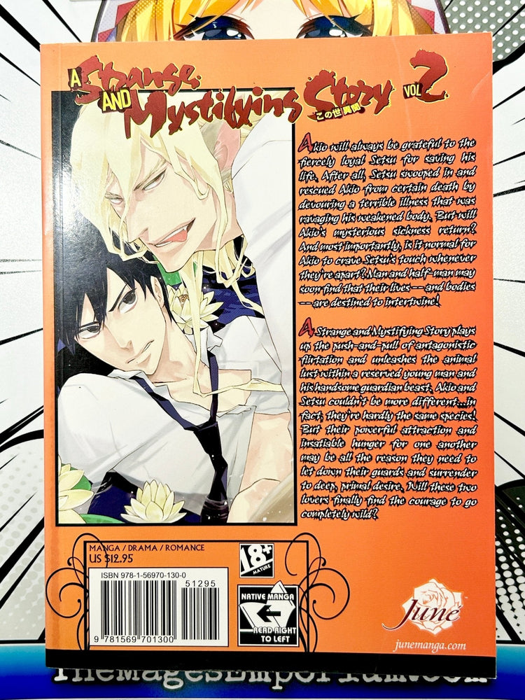 A Strange and Mystifying Story Vol 2 Oversized (Online Order Only)