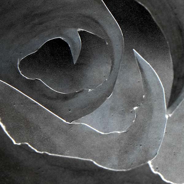 A-SYMMETRY - I Am Life [CD] (ONLINE ORDER ONLY)