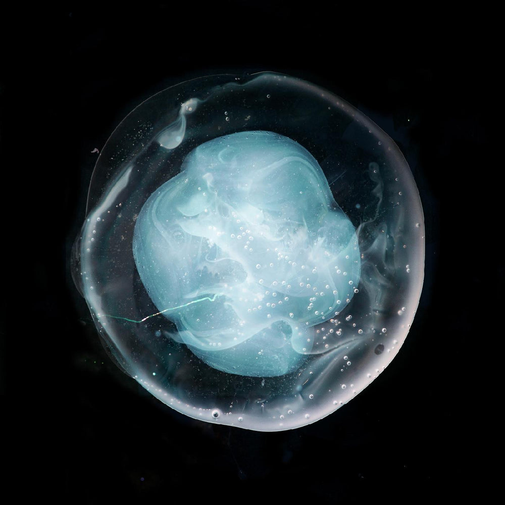 The Undivided Five [CD] (ONLINE ORDER ONLY)