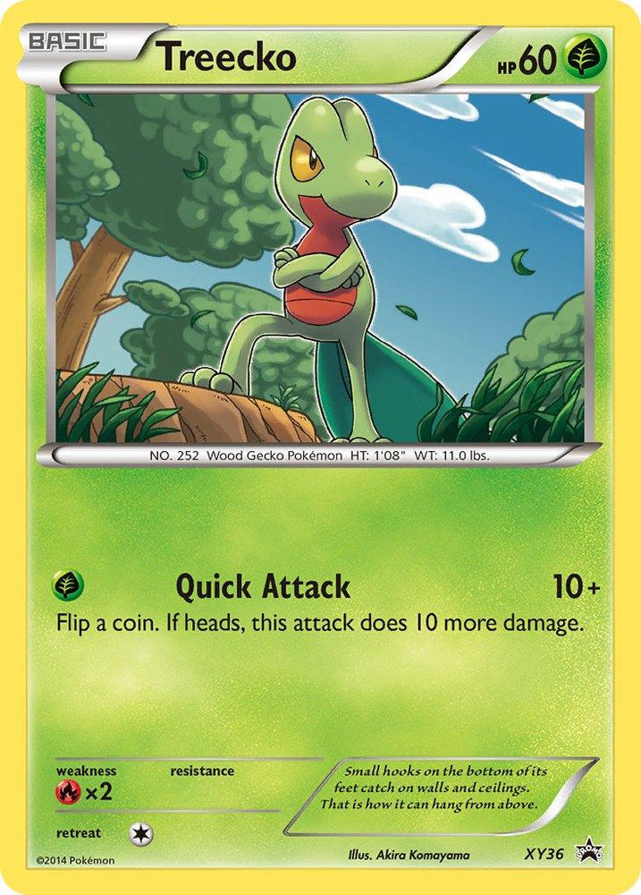 Treecko (XY36) [XY: Black Star Promos] (Online Only)