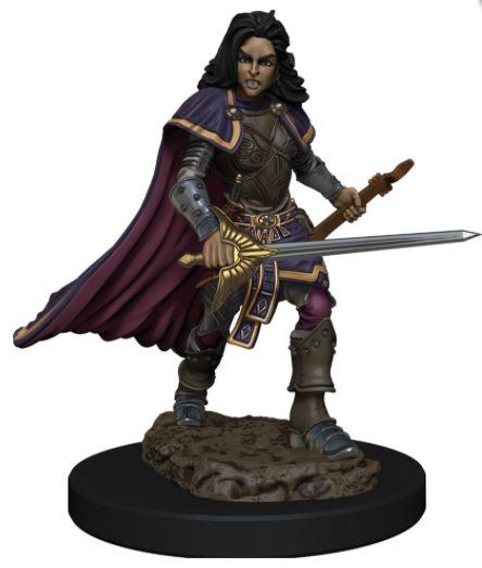 Pathfinder Battles: Human Bard Female (ONLINE ORDER ONLY)