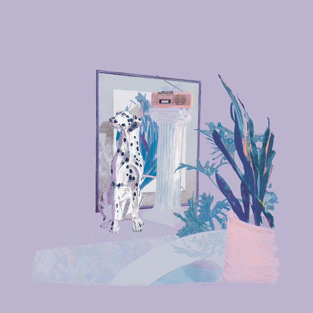 shapes & colors [Vinyl]
