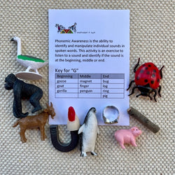 Phonemic Awareness_ Articulation Kit: Objects and Laminated Letters for Forming Sounds (ONLINE ORDER ONLY)