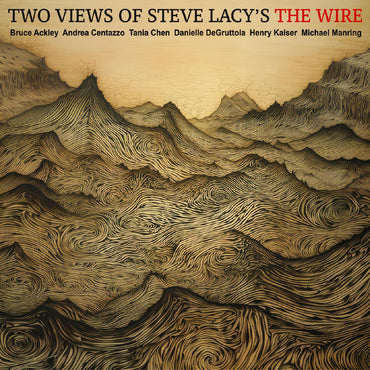 TWO VIEWS OF STEVE LACYS THE WIRE [CD] (ONLINE ORDER ONLY)