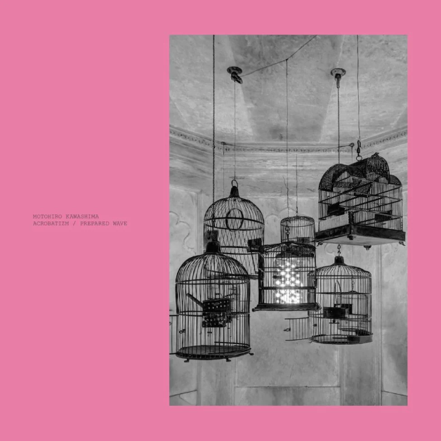 Acrobatizm / Prepared Wave (2LP Pink) [Vinyl] (ONLINE ORDER ONLY)