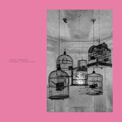 Acrobatizm / Prepared Wave (2LP Pink) [Vinyl] (ONLINE ORDER ONLY)