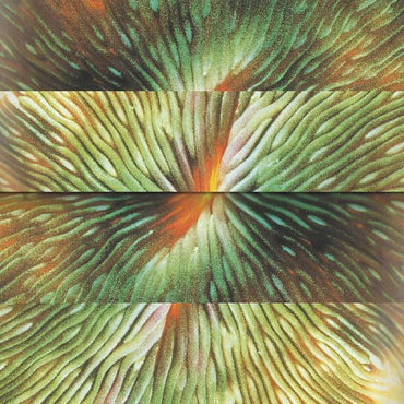 Active Surplus - Mirroring [Vinyl] (ONLINE ORDER ONLY)
