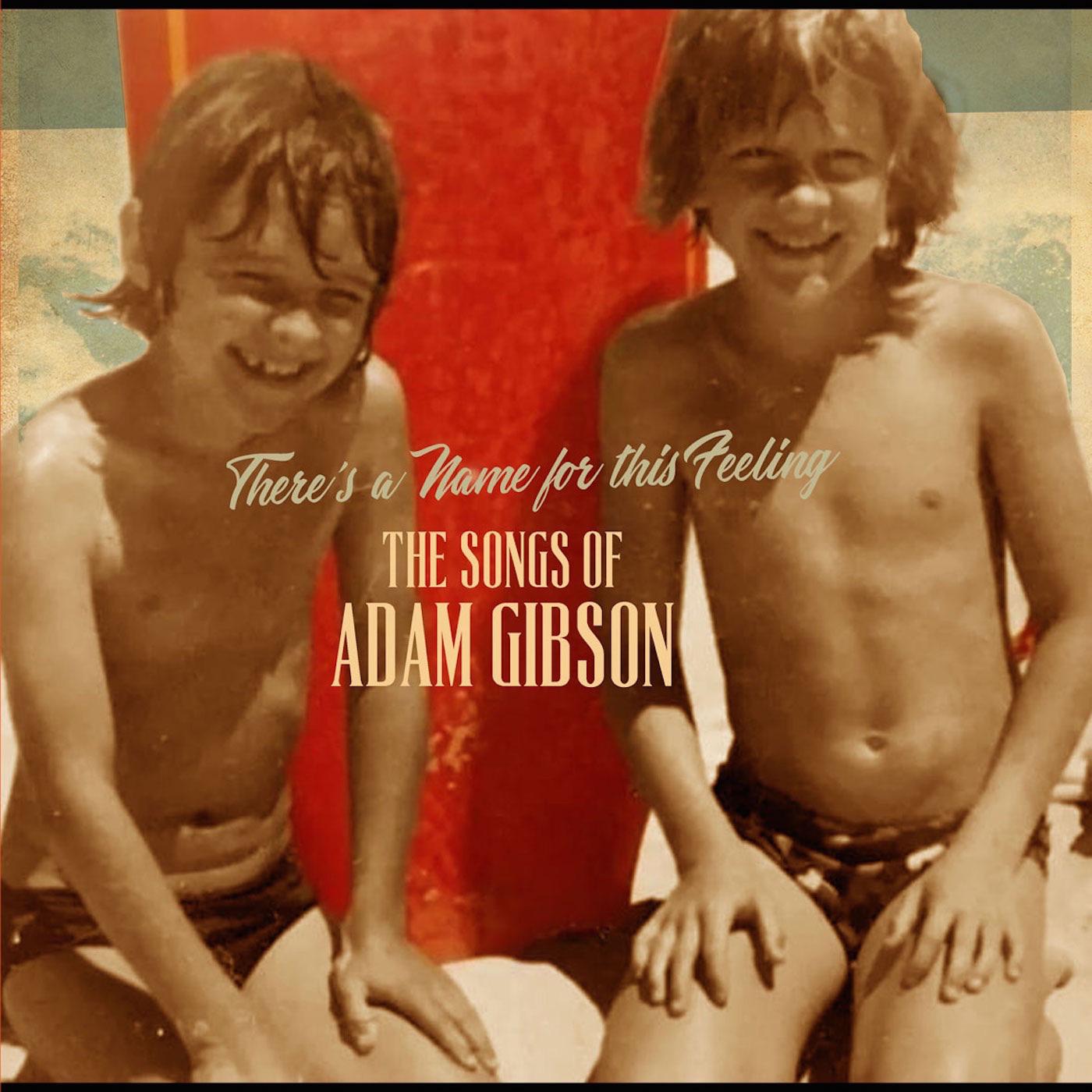 Adam Gibson - The Songs of Adam Gibson [Vinyl] (ONLINE ORDER ONLY)