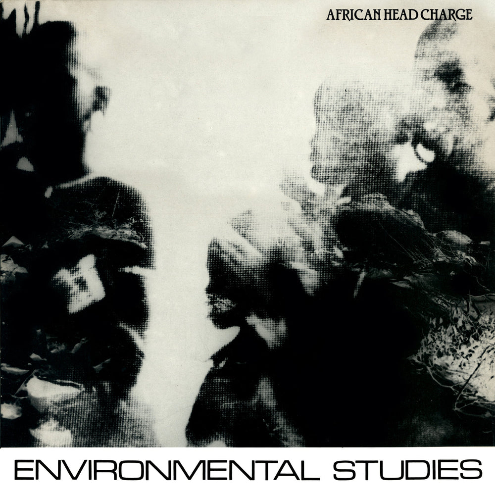 Environmental Studies [Vinyl] (ONLINE ORDER ONLY)