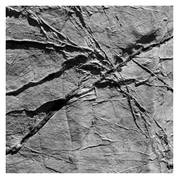 AGF & VARIOUS - Arachnesound [CD] (ONLINE ORDER ONLY)