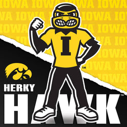 Iowa Hawkeyes - NCAA Mascot 100 Piece Jigsaw Puzzle (ONLINE ORDER ONLY)