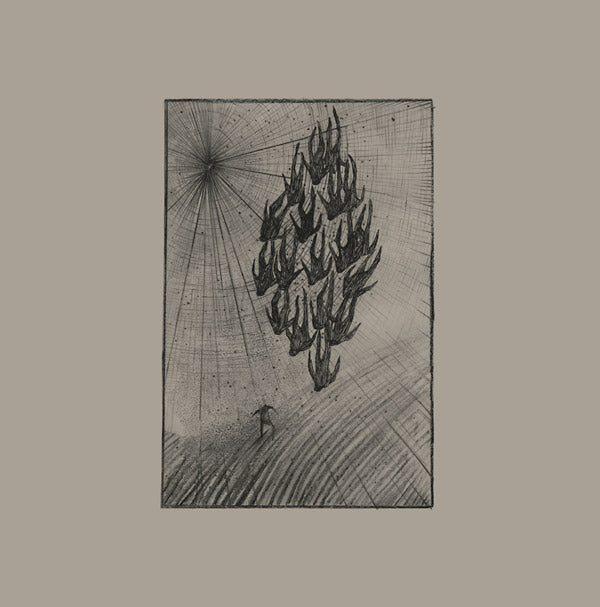 AINE O'DWYER - Locusts [Vinyl] (ONLINE ORDER ONLY)