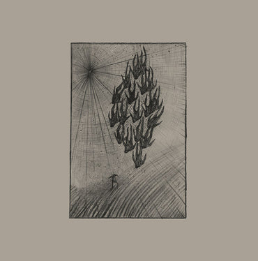 AINE O'DWYER - Locusts [Vinyl] (ONLINE ORDER ONLY)