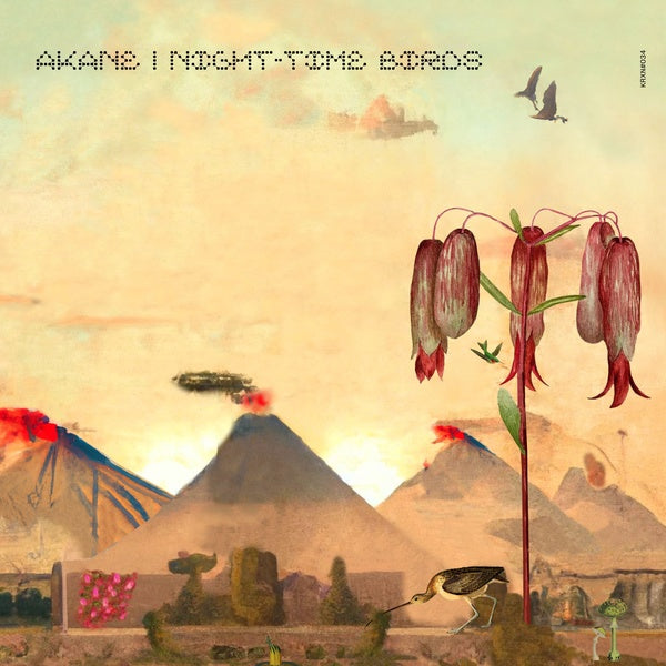 AKANE - Night-Time Birds [Vinyl] (ONLINE ORDER ONLY)