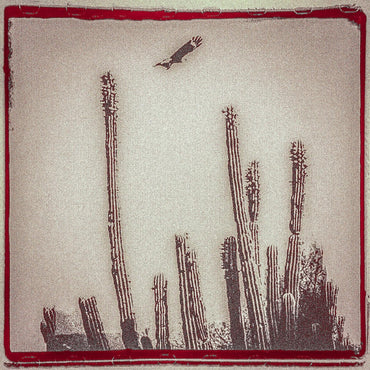 La Cruzada (Bone White Vinyl) [Vinyl] (ONLINE ORDER ONLY)