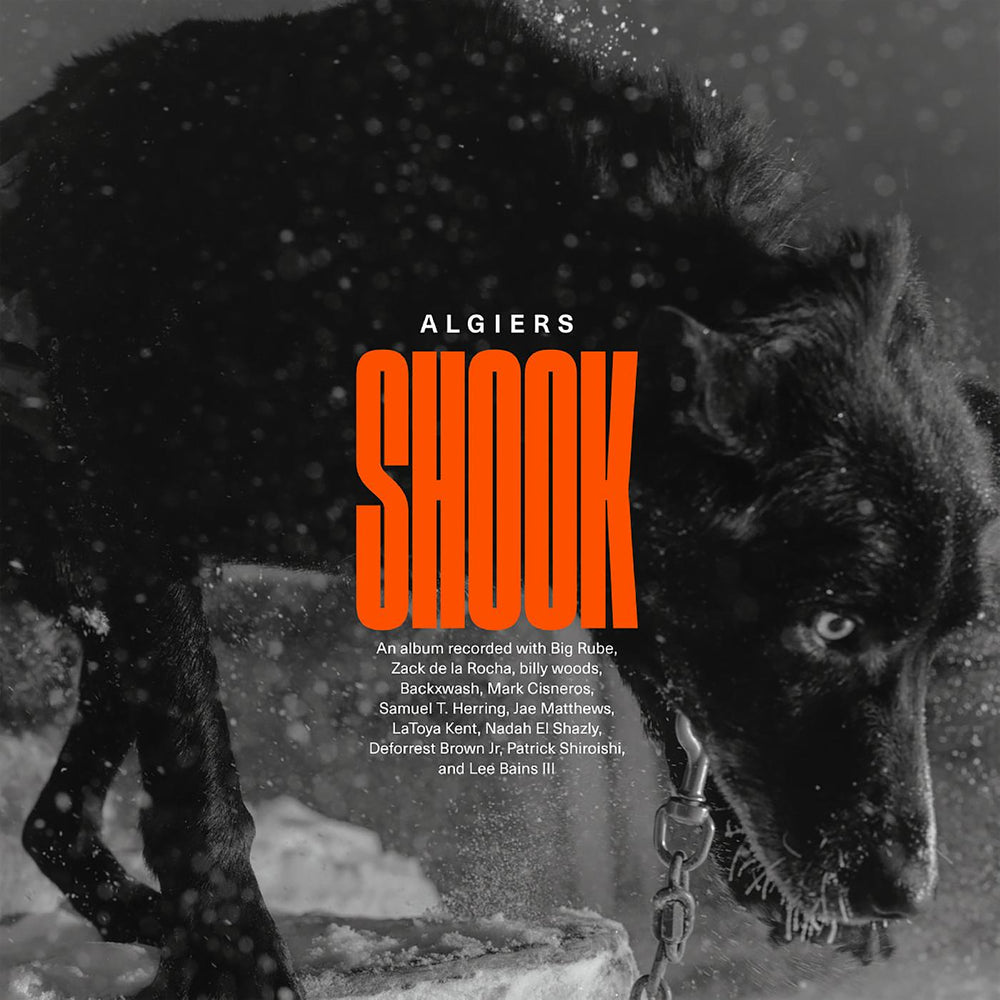 Shook [Vinyl] (ONLINE ORDER ONLY)