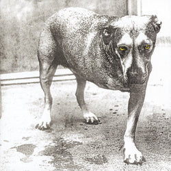 Alice In Chains (30Th Anniversary Reissue) [Color Vinyl] [2LP] [Vinyl] (ONLINE ORDER ONLY)
