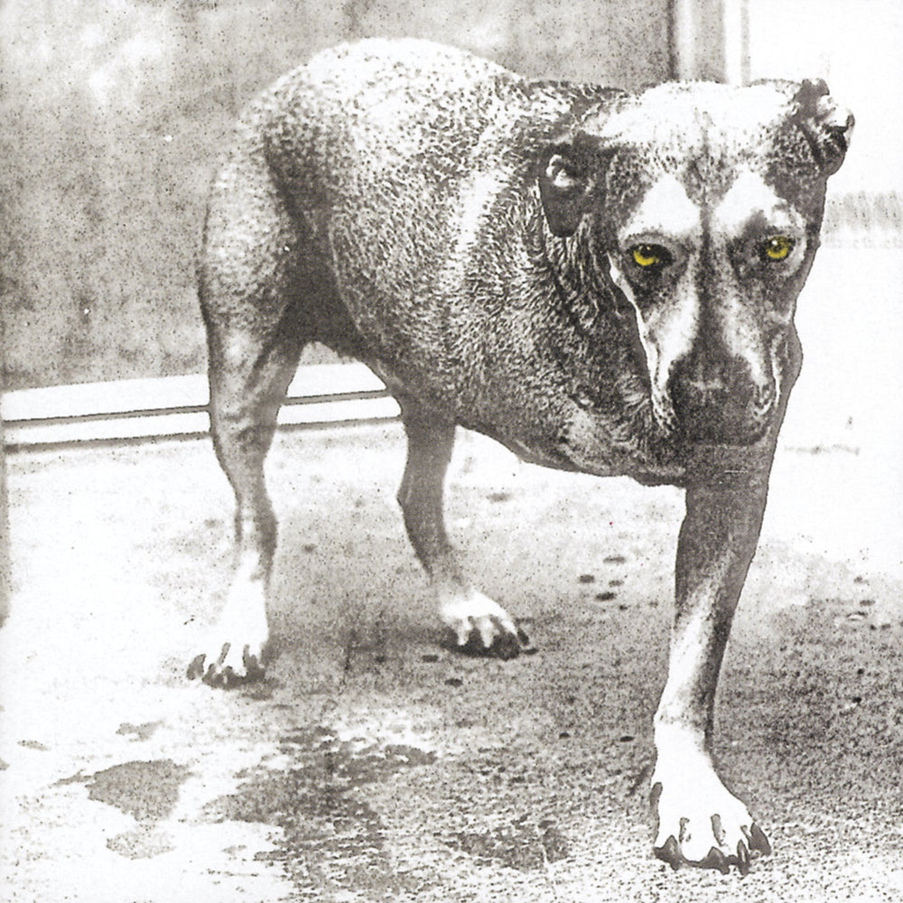 Alice In Chains (30Th Anniversary Reissue) [Color Vinyl] [2LP] [Vinyl] (ONLINE ORDER ONLY)