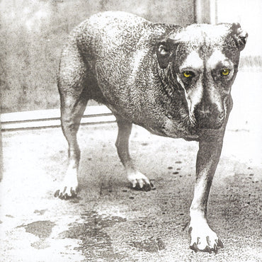 Alice In Chains (30Th Anniversary Reissue) [Color Vinyl] [2LP] [Vinyl] (ONLINE ORDER ONLY)