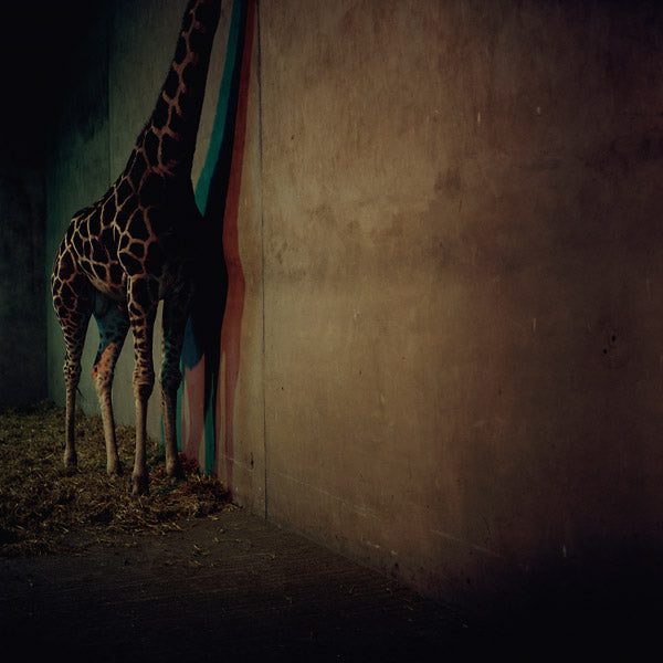 ALIEN ENSEMBLE - Alien Ensemble 2 [Vinyl] (ONLINE ORDER ONLY)