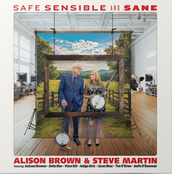 Safe, Sensible And Sane [Vinyl] (ONLINE ORDER ONLY)