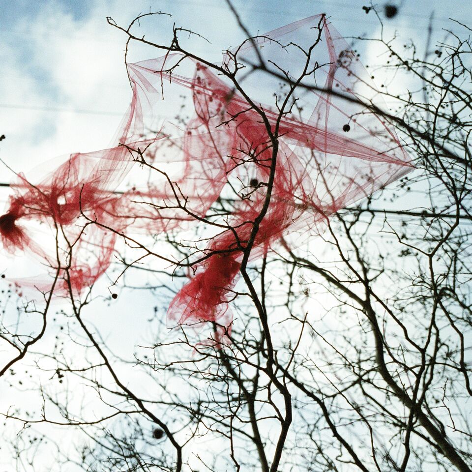 All People - All People [Vinyl] (ONLINE ORDER ONLY)