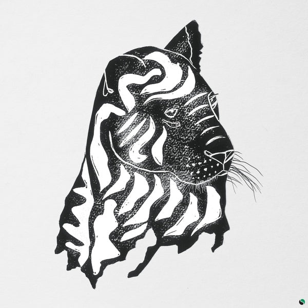 ALPHA STEPPA & AWA FALL - What a Joy [Vinyl] (ONLINE ORDER ONLY)