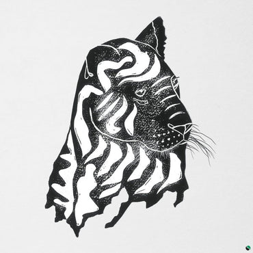 ALPHA STEPPA & AWA FALL - What a Joy [Vinyl] (ONLINE ORDER ONLY)