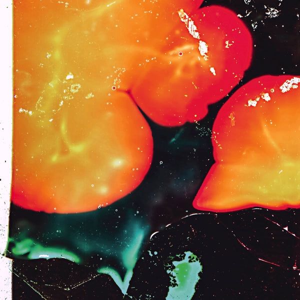 AMALIE DAHL'S DAFNIE - Star Op Med Solen [Vinyl] (ONLINE ORDER ONLY)