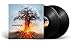 SKYFORGER [Vinyl] (ONLINE ORDER ONLY)