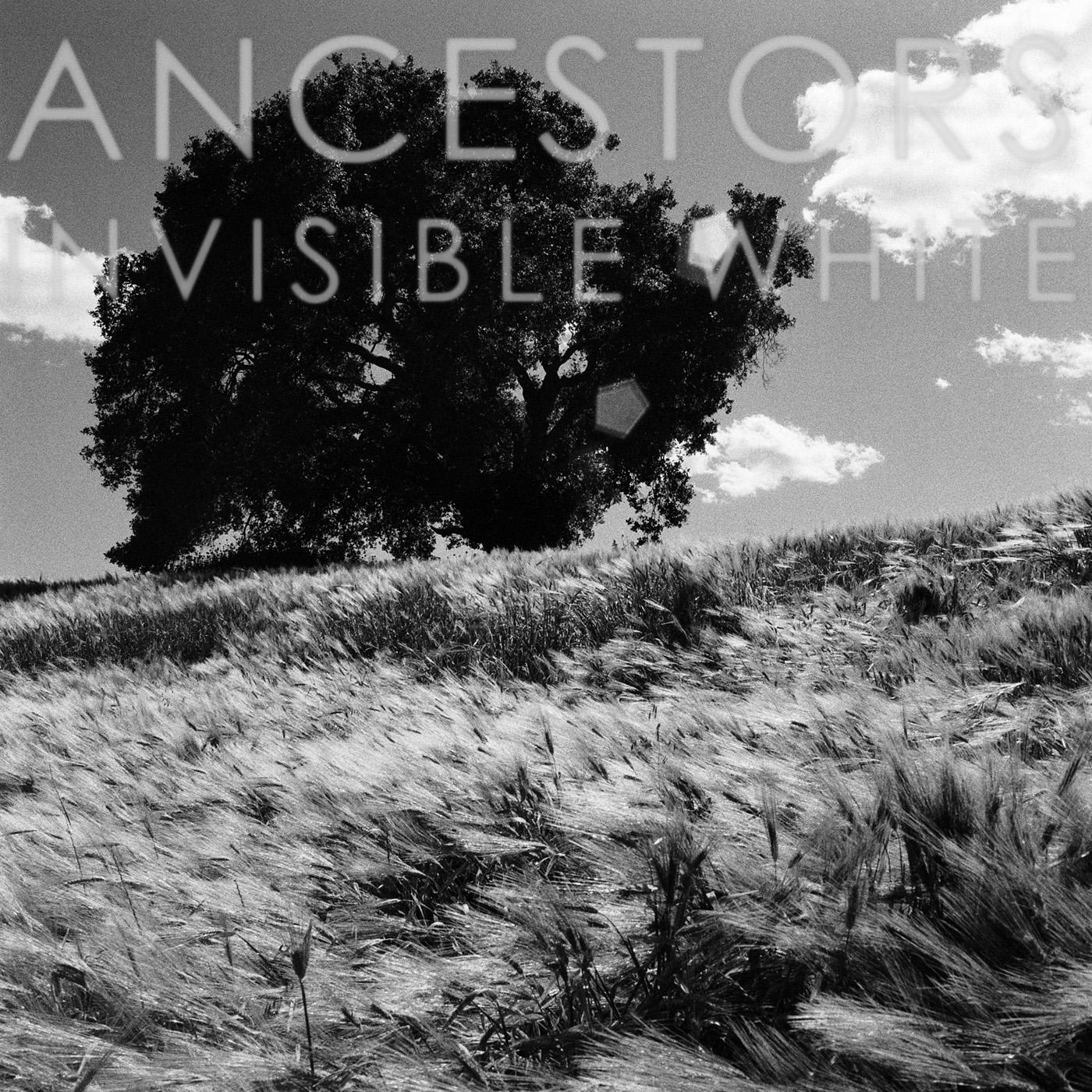 Ancestors - Invisible White (OPAQUE GRAY VINYL) [Vinyl] (ONLINE ORDER ONLY)