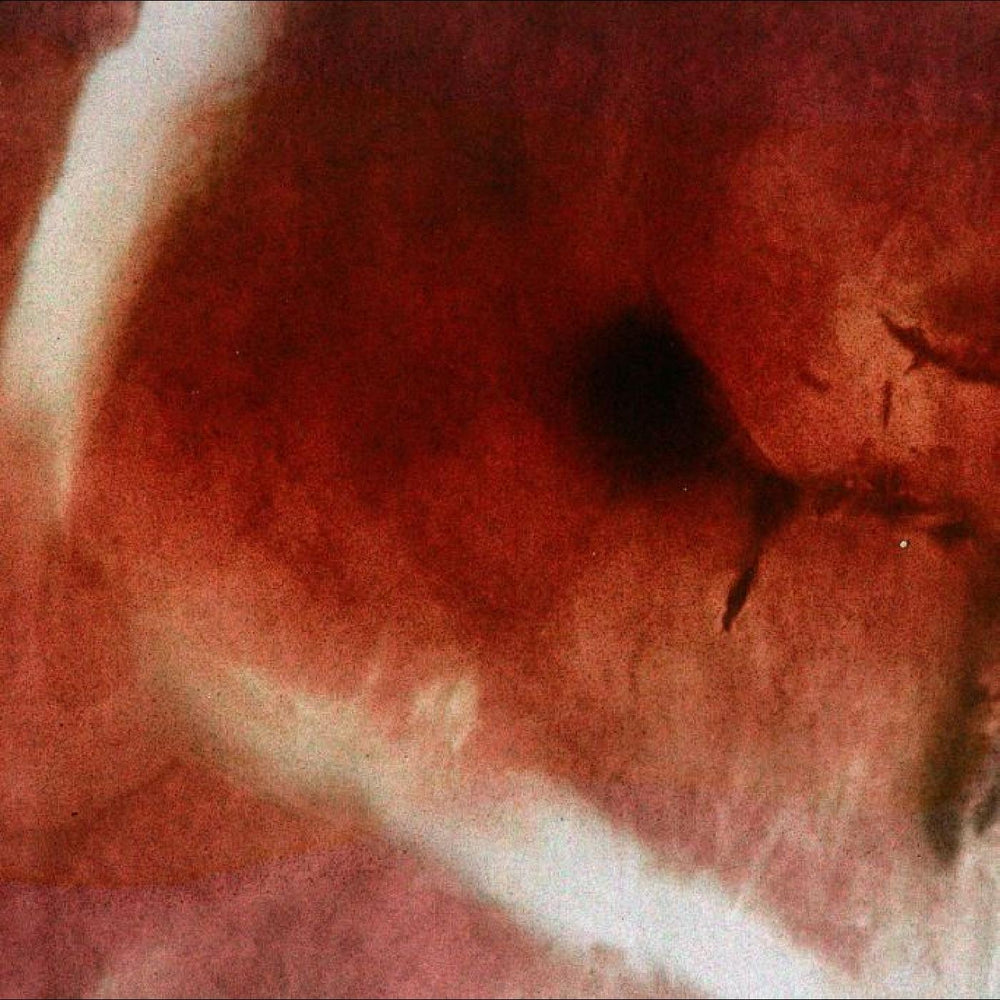 Angles & Elle-Kari with Strings - The Death of Kalypso [Vinyl] (ONLINE ORDER ONLY)