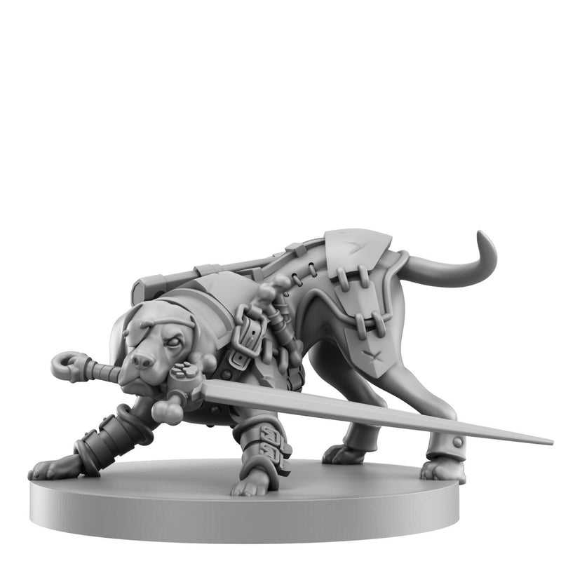 Animal Adventures: Starter Set (ONLINE ORDER ONLY)