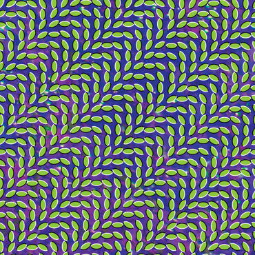 Animal Collective - Merriweather Post Pavilion [CD] (ONLINE ORDER ONLY)