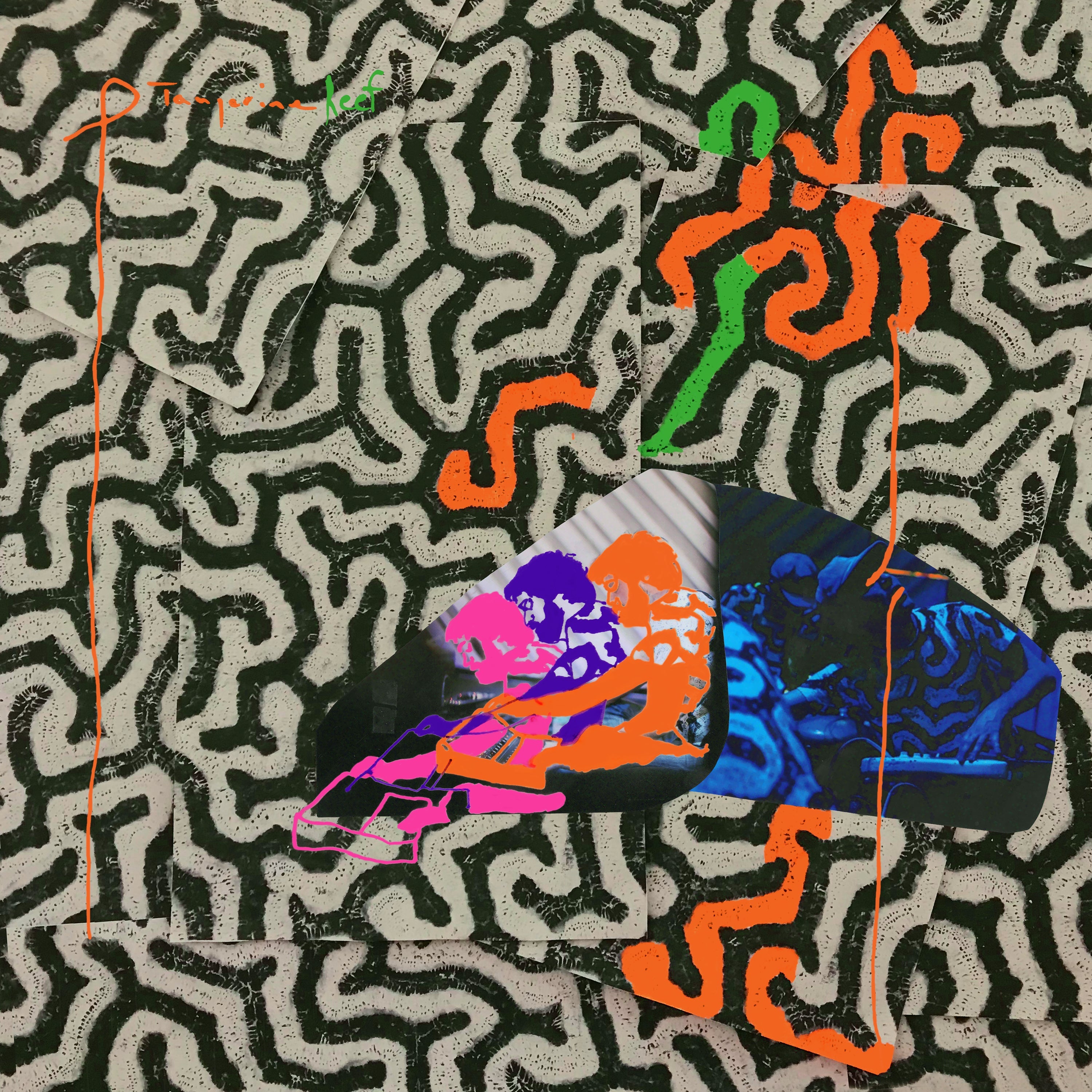 Animal Collective - Tangerine Reef [Vinyl] (ONLINE ORDER ONLY)