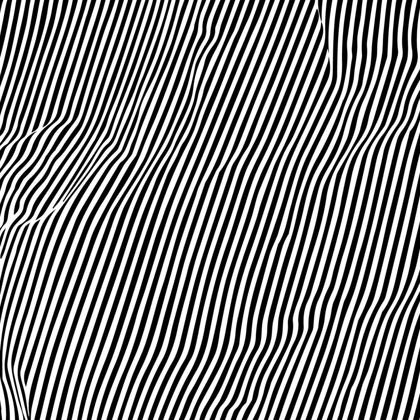 Animal Hospital - Fatique [Vinyl] (ONLINE ORDER ONLY)