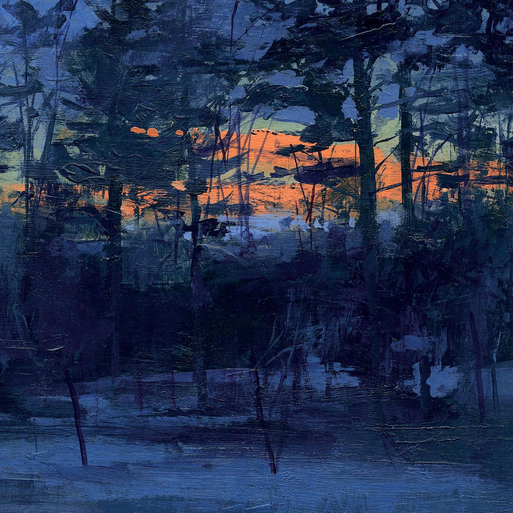 Animal Hospital - Shelf Life [Vinyl] (ONLINE ORDER ONLY)