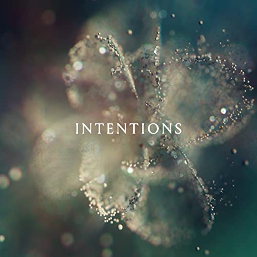 ANNA - Intentions [2 LP] [Vinyl] (ONLINE ORDER ONLY)