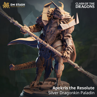 Apokris the Resolute, Silver Dragonkin Paladin (Male Dragonborn Paladin) (Online Only)