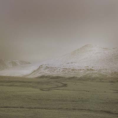 Wolf Notes [Vinyl]