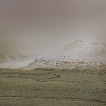 Wolf Notes [Vinyl] (ONLINE ORDER ONLY)