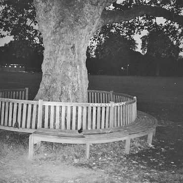 A New Place 2 Drown (Instrumentals) [Vinyl] (ONLINE ORDER ONLY)