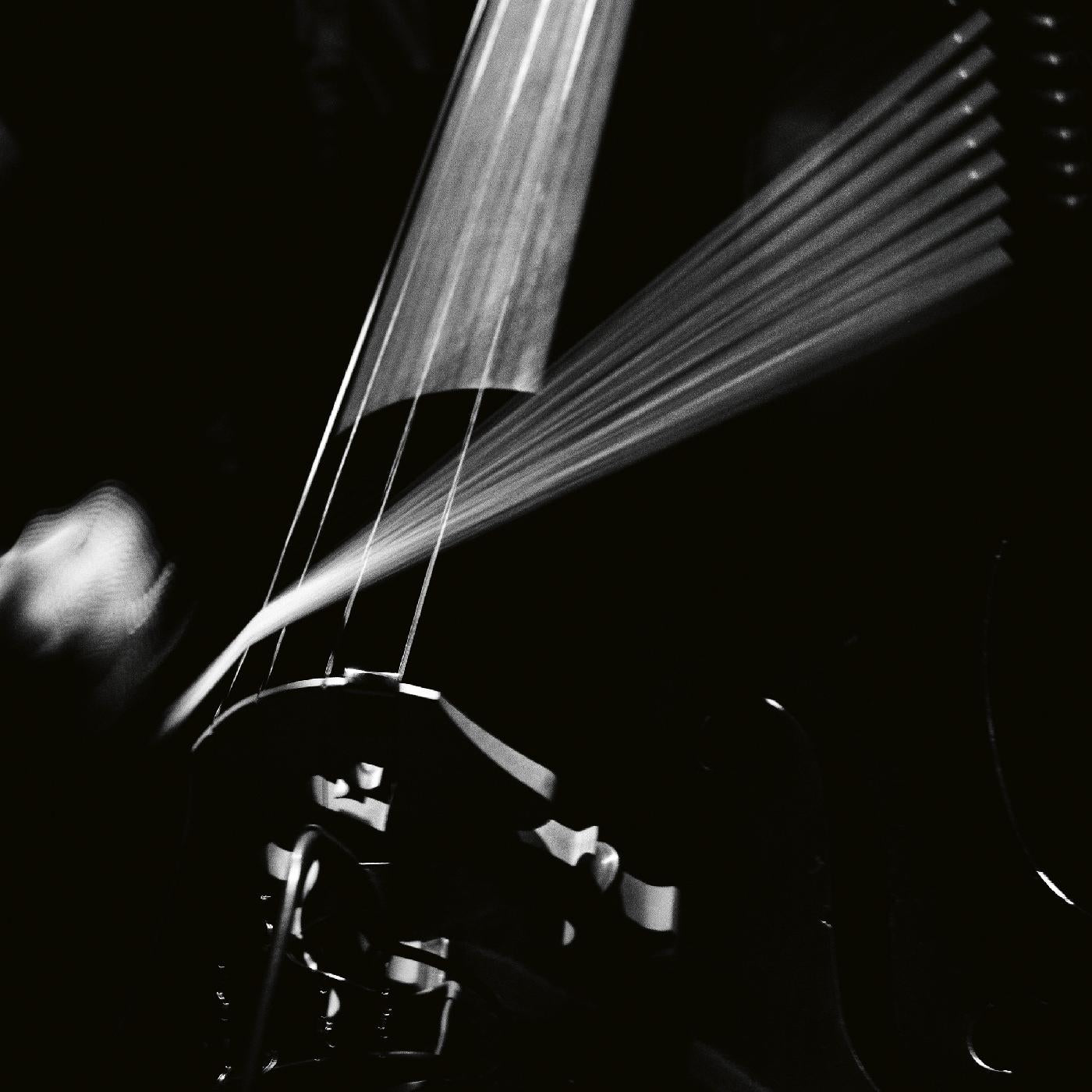 Arnold Dreyblatt - Resolve [Vinyl] (ONLINE ORDER ONLY)