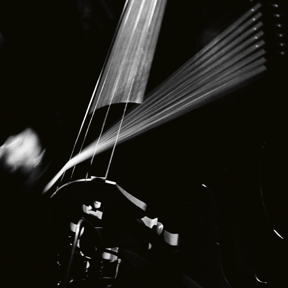 Arnold Dreyblatt - Resolve [Vinyl] (ONLINE ORDER ONLY)