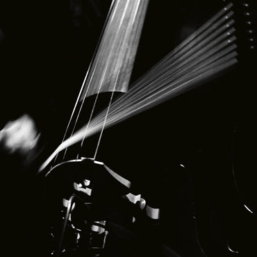 Arnold Dreyblatt - Resolve [Vinyl] (ONLINE ORDER ONLY)