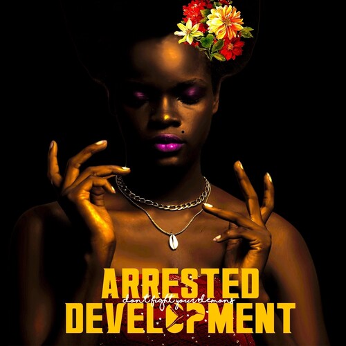 Arrested Development - Don't Fight Your Demons (2 Lp's) [Vinyl] (ONLINE ORDER ONLY)