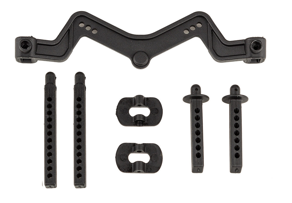 Team Associated DR10 Body Mount and Post (ONLINE ORDER ONLY)