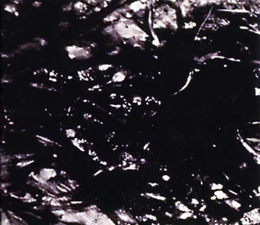 ASVA - Presences Of Absences [CD] (ONLINE ORDER ONLY)