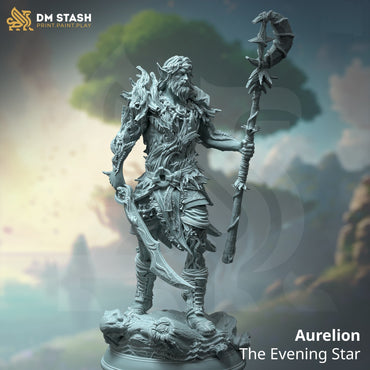 Aurelion, the Evening Star (Male Half-Elf Druid) (Online Only)