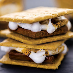 S'mores 100 Piece Jigsaw Puzzle (ONLINE ORDER ONLY)